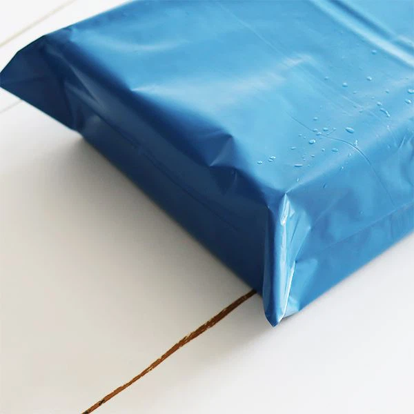 Anti-tamper express bag