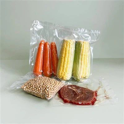 フードセーバー真空バッグ