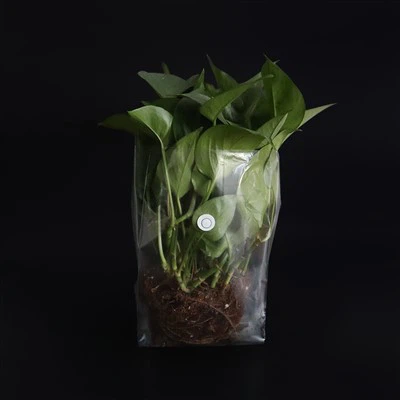 植物用ポリ栽培バッグ